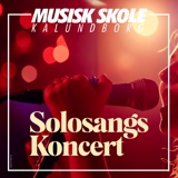 Solosangskoncert