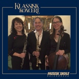 Klassisk Koncert - Trio Thema