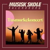 Tusmørkekoncert