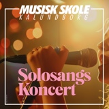 Solosangskoncert