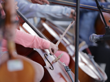 Cello